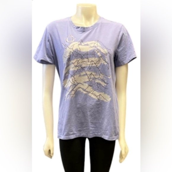 Arcteryx EUC Playground Cloudburst T Shirt Violet Size Large - Picture 1 of 9